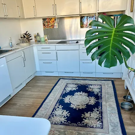 Affittacamere Seaview And Swimming Hellerup