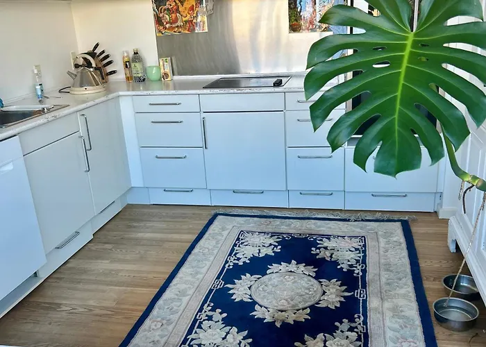 Affittacamere Seaview And Swimming Hellerup